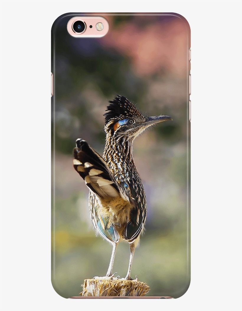 Iphone 6 Plus Case Greater Roadrunner Bird - Tote Bag, transparent png download