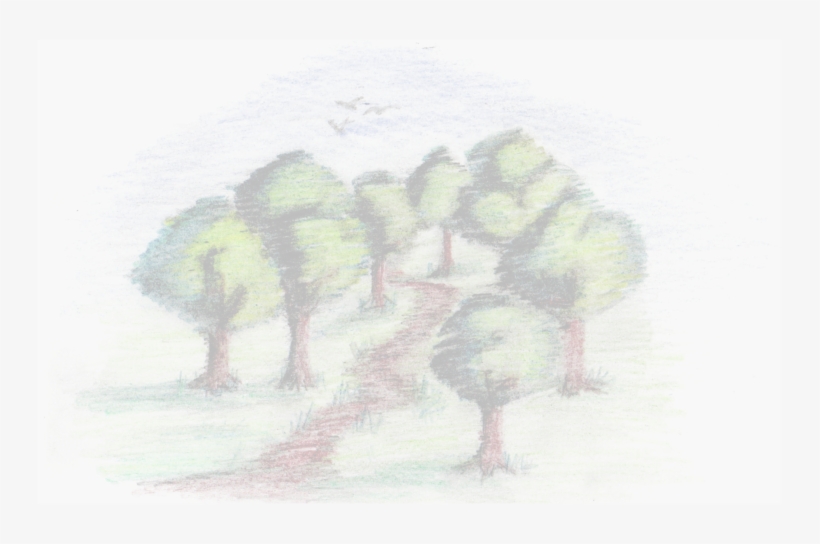 Sketch, transparent png download