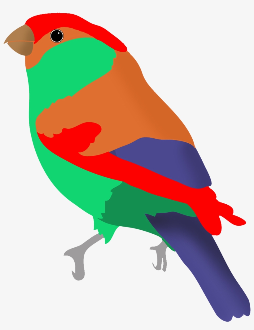 Graasisken Colored, Colorful Bird In Fantasy Colors - Colorful Bird Clipart, transparent png download
