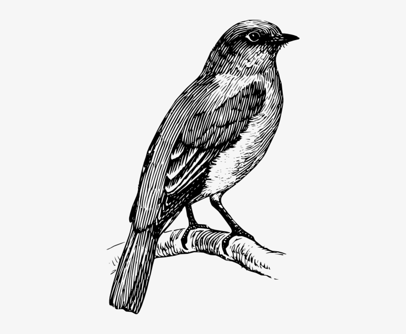 Blue Bird Tattoo Black And White, transparent png download