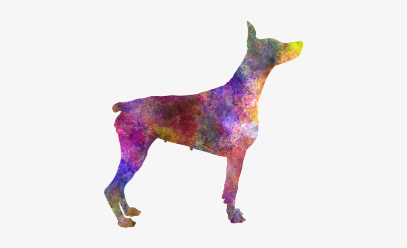 Doberman 01 In Watercolor Greeting Card For Sale By - Clumber Spaniel January Notebook Clumber Spaniel Record,, transparent png download