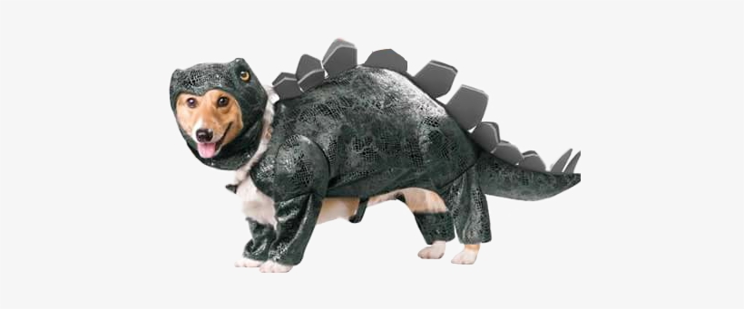 Report Abuse - Weiner Dog Costumes, transparent png download