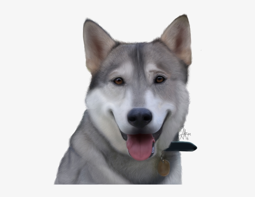 25 Nov - Sakhalin Husky, transparent png download