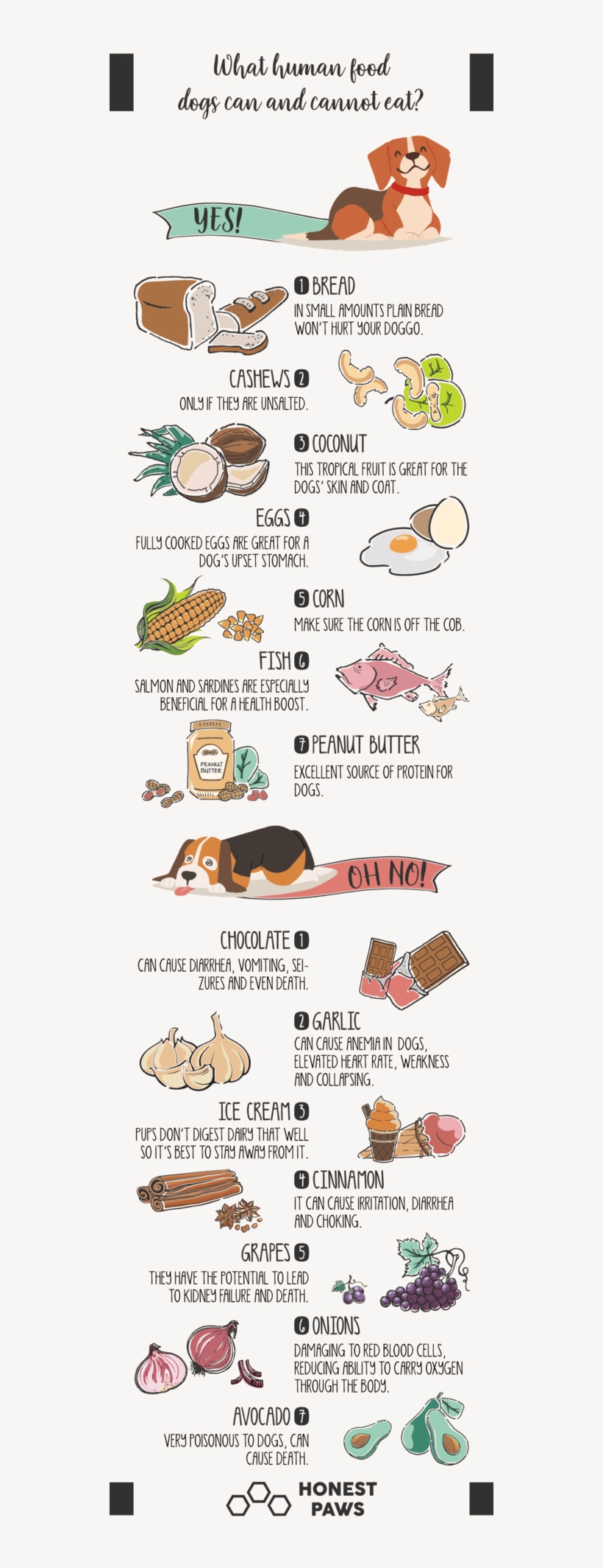 Harrier, transparent png download