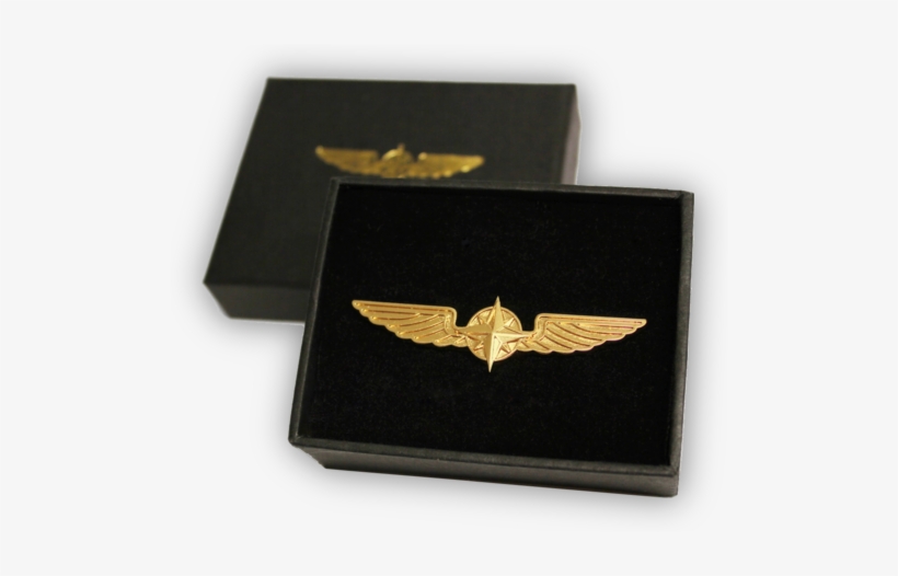 Pilot Wings Gold Or Silver - Pilot Wings Gold, transparent png download