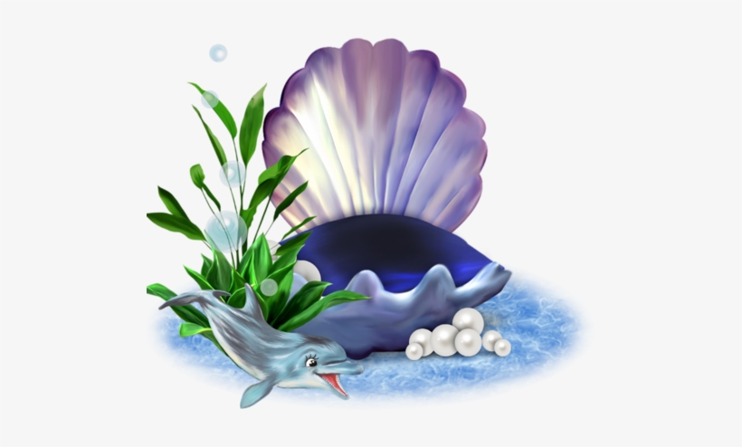 Png Transparent Summer Frame, transparent png download