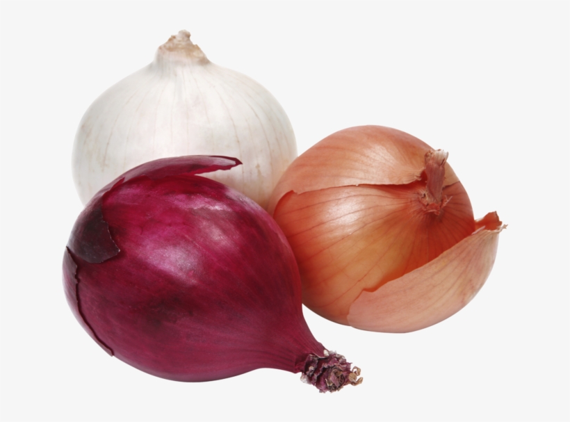 Onion, transparent png download