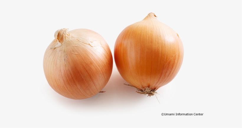 Onion - Yellow Onion, transparent png download