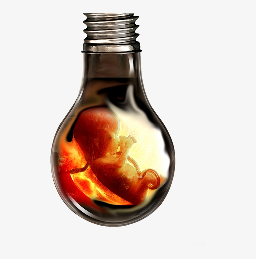 Don't Kill Girl In Womb When She Might Bring Country - Save Girl Child Model, transparent png download