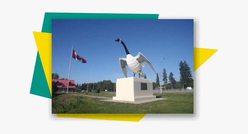 About The Wawa Beginner Driver Education Course - Wawa Goose, transparent png download