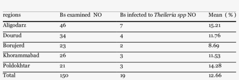 Microscopic Examination Of Blood Smears - Blood Film, transparent png download