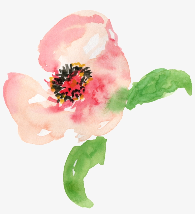 Watercolor Paint, transparent png download