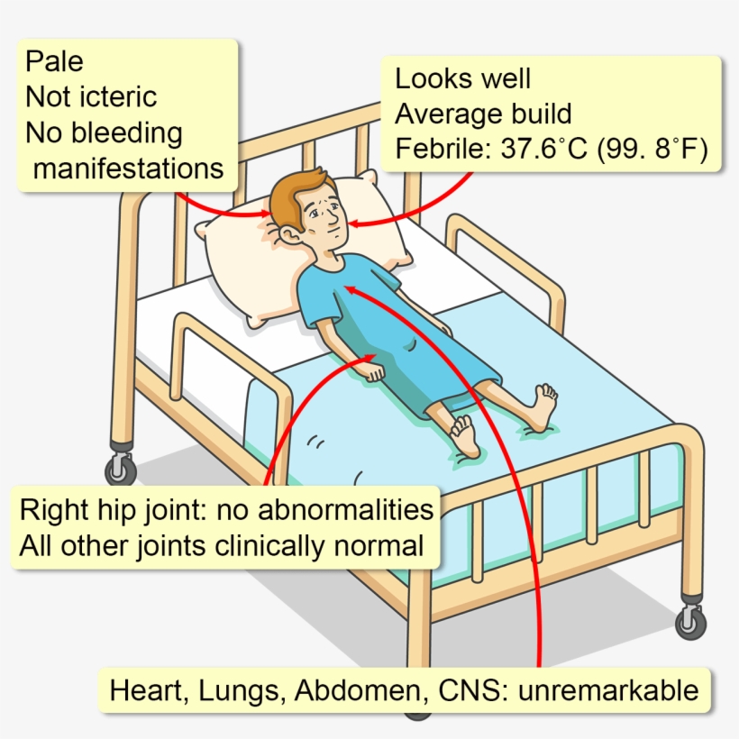 A Neutrophil Count Of 1,510/mm3, A Hb Level Of - Cartoon, transparent png download