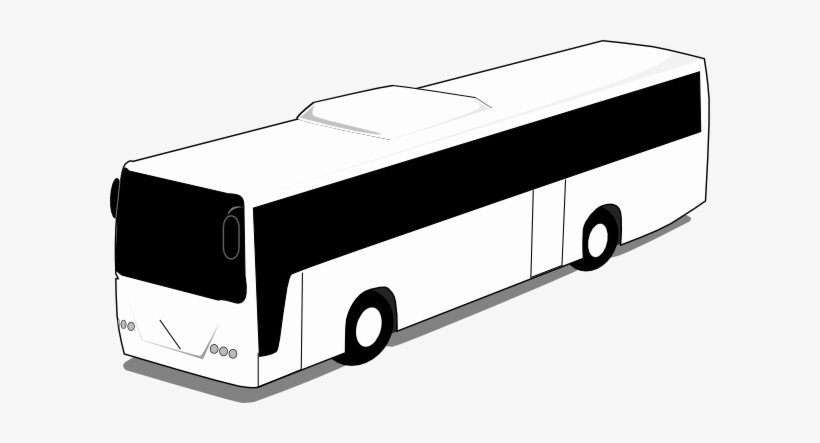 Email - Sales@grayline - Co - Uk - Bus, transparent png download