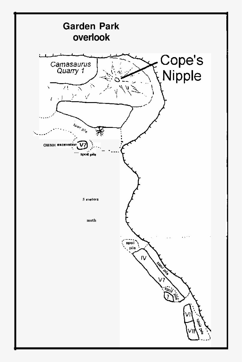 Png Library Download Gefo Tape And Brunton Map Of The - Line Art, transparent png download