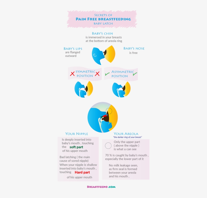 Mom Has Pain When Her Nipple Is Being Hit By The Hard - Breastfeeding And Hard Palate, transparent png download