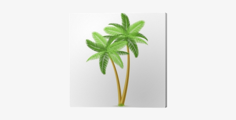 Tropical Palm Trees - Flamingo Nest, transparent png download
