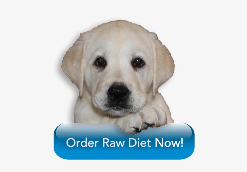 Order Raw Diet From Barf World - Diet, transparent png download