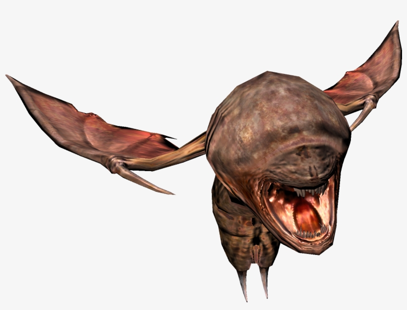 Roach - Penumbra Roach, transparent png download