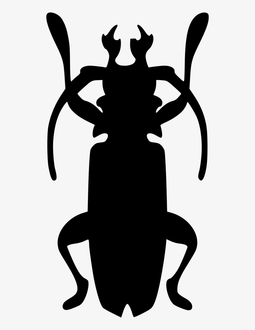 Beatle Nature Cockroach Roach Comments - Drawing, transparent png download