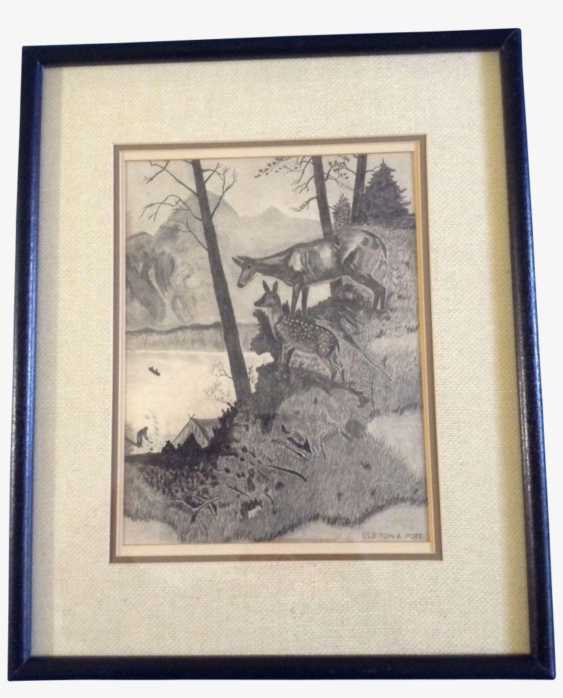 Pope, Two Deer Watching The Campers, Pencil Drawing - Drawing, transparent png download