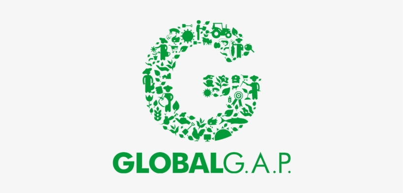 Glogogreenrgb - Global Gap, transparent png download
