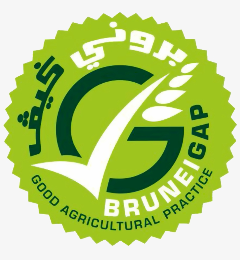 Brunei Gap Logo - Brunei Gap, transparent png download