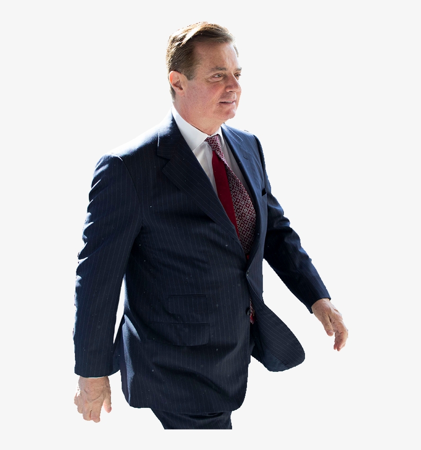 Manafort Guilty On 8 Of The 18 Counts, Including Five - Paul Manafort, transparent png download