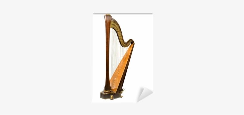 Diagram Of The Harp, transparent png download