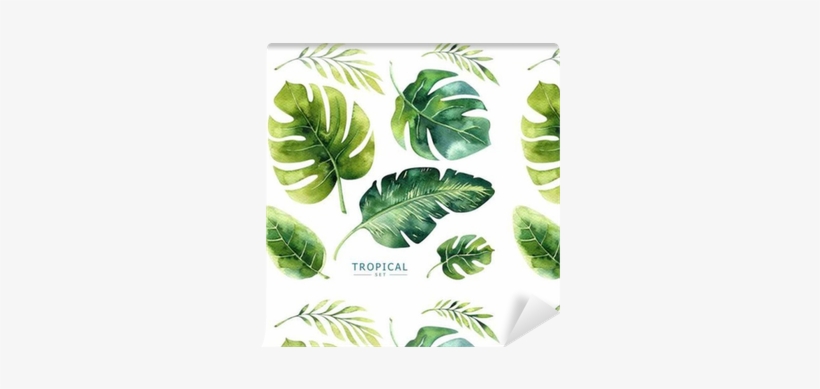 Hand Drawn Watercolor Tropical Plants Set - Brazilian Tropical Plant, transparent png download