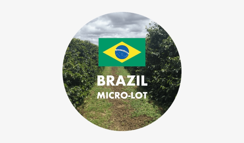 Specialty Coffee From Brazil - Coffee, transparent png download
