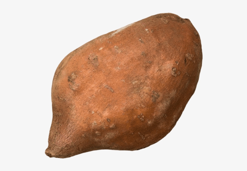 Sweet Potato - Igneous Rock, transparent png download