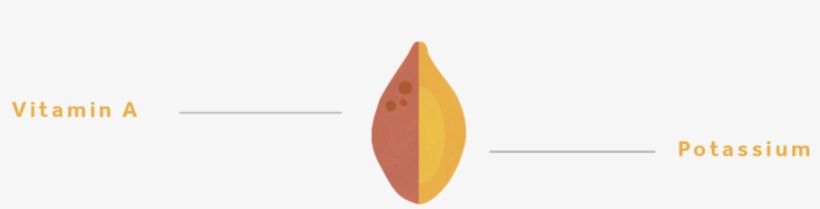 Sweetpotato-01 - Graphic Design, transparent png download