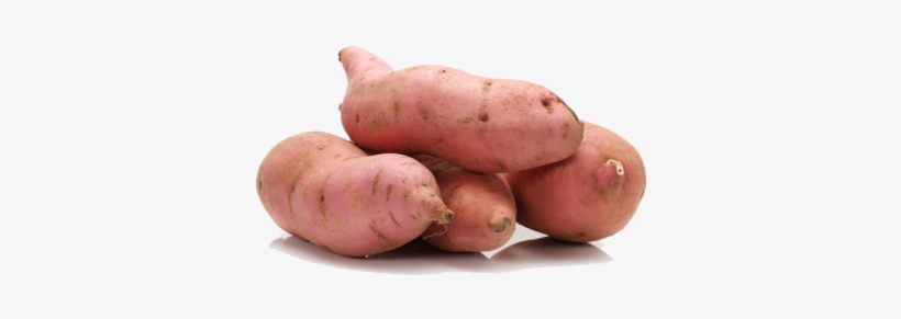 Sweet Potatoes 250g - Sweet Potato Scientific Name, transparent png download