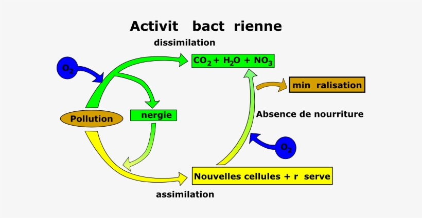 Free Vector Elimination Of Pollution Clip Art - Pollution Clipart, transparent png download