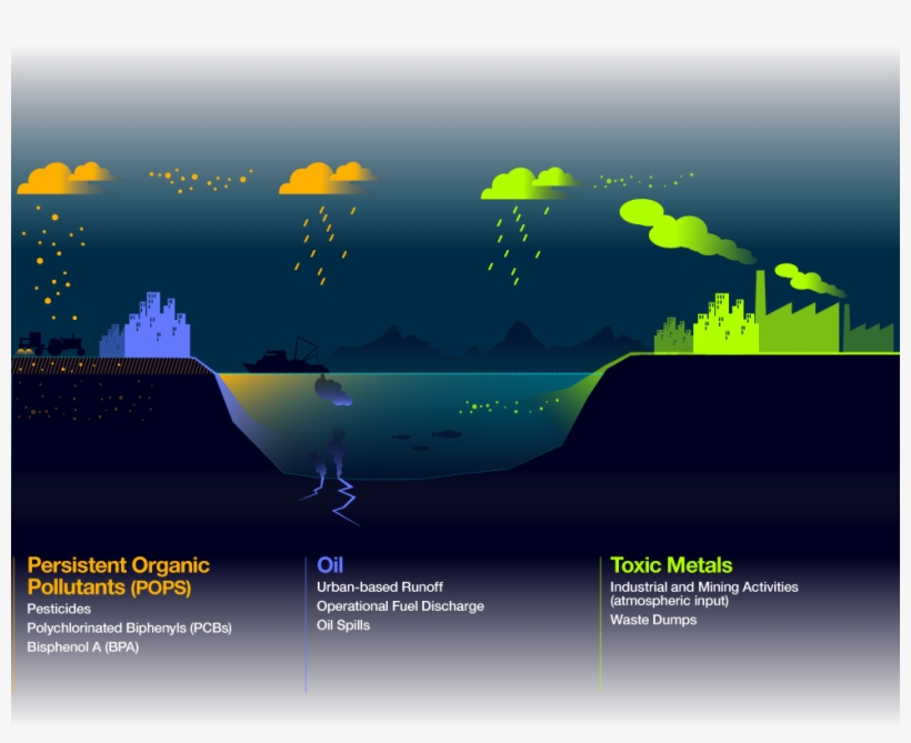 Vector Transparent Download Chemical Health Index Infographic - Chemical Pollution, transparent png download