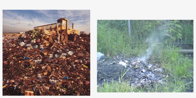 Soil Pollution - } - Organic Chemicals Water Pollution, transparent png download