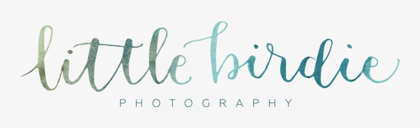 Little Birdie-01 - Calligraphy, transparent png download