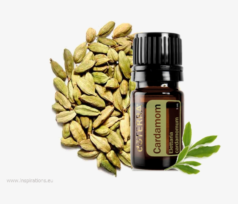 Cardamom Truffles - Doterra Cardamom Oil Uses, transparent png download