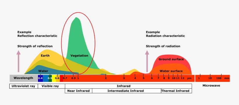 Fw Homepage Why Firewatch Today Night Png - Portable Network Graphics, transparent png download