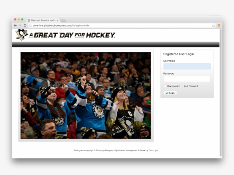Pittsburgh Penguins, transparent png download