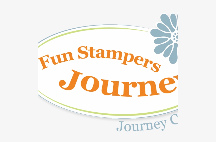 Photo - African Daisy, transparent png download