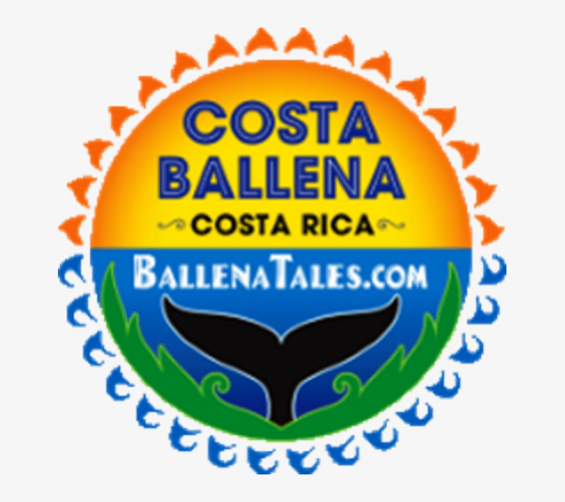 Ballena Tales Magazine And Costa Ballena Travel Guide - Monogram Polka Dot Circle, transparent png download