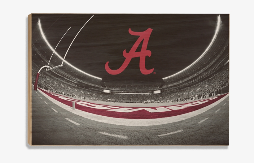 Alabama Crimson Tide Bryant-denny™ End Zone Fisheye - Alabama Crimson Tide, transparent png download
