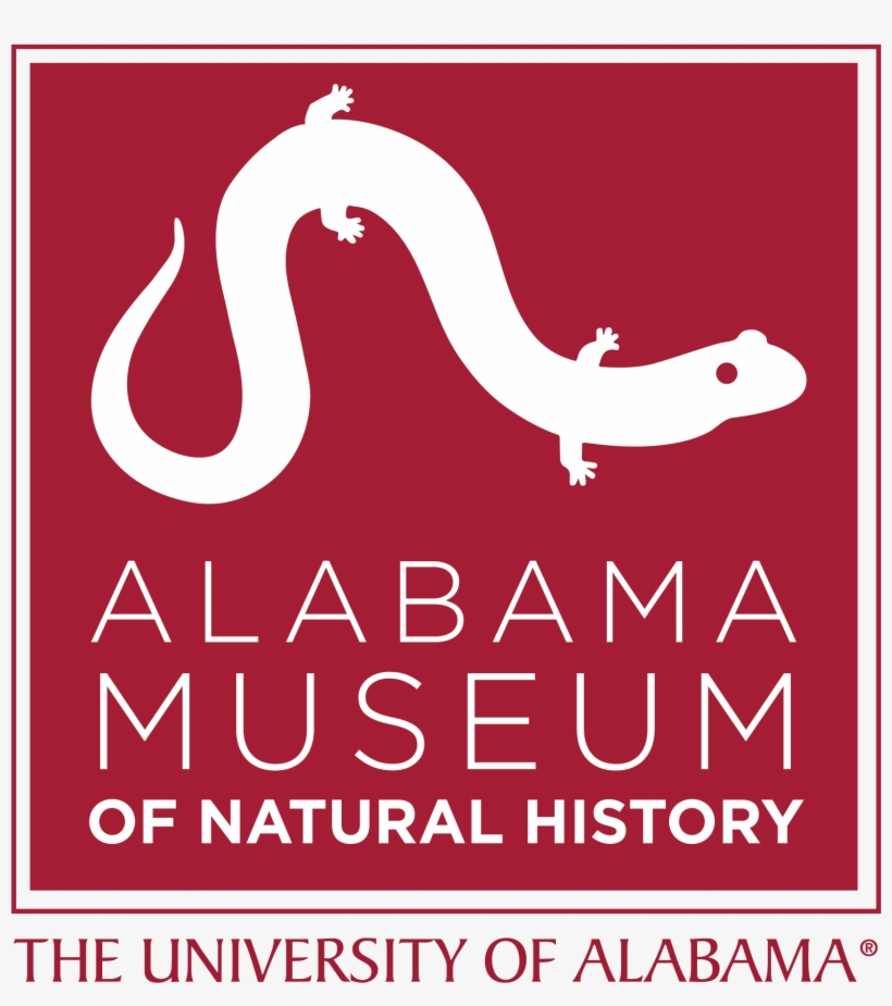 Almnh Logo - Alabama Museum Of Natural History Logo, transparent png download