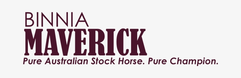 Binnia Maverick Pure Australian Stock Horse - Blue Necktie And Blue Stripes Father's Day Greeting, transparent png download