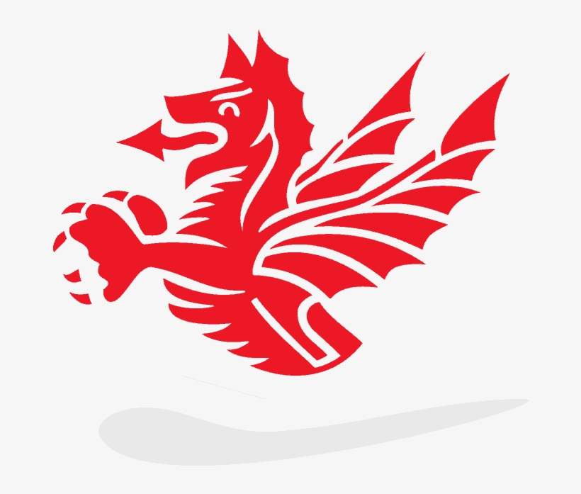 What We Do - Dragon Labour Hire, transparent png download