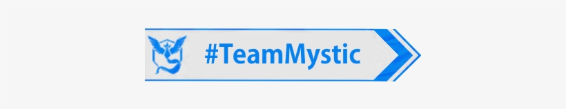 Show Your Support For The Best Pokemon Go Team Of All, - Team Mystic Wisdom Over Instinct Calm Over Valor, transparent png download