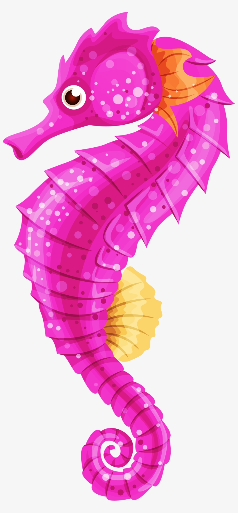 Seahorse Png Clip Art - Clipart Seahorse, transparent png download