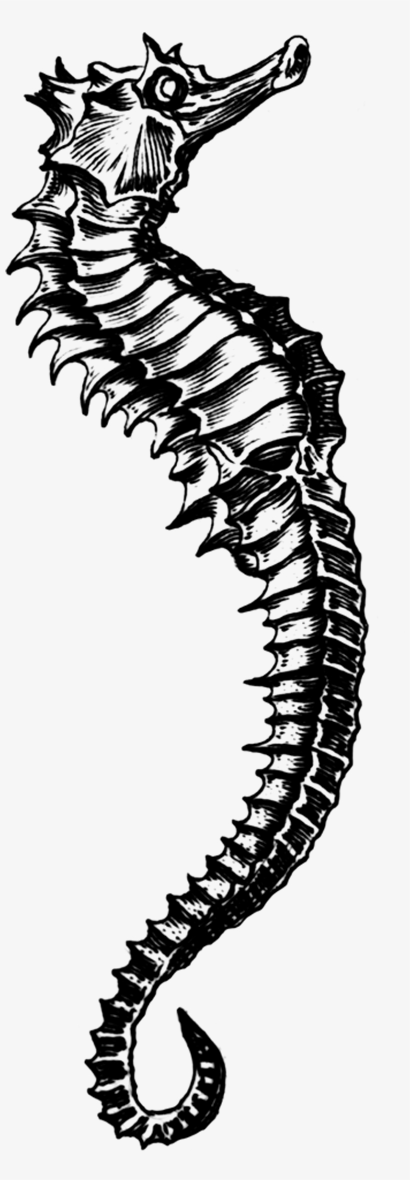 Seahorse - Tattly, transparent png download